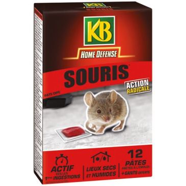 Home defense souris pâte 12x10g