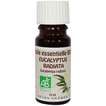 Huile essentielle 10 ml Eucalyptus Radiata - Bio