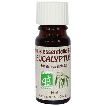 Huile essentielle 10 ml Eucalyptus - Bio