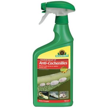 Insecticide cochenilles Spruzit af pae pulvérisateur 750ML