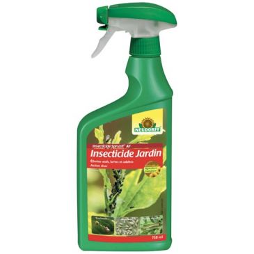 Insecticide jardin Spruzit AF pae pulvérisateur 750ml