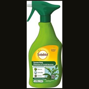 Insecticide plante intérieur prêt à l'emploi 500 ml
