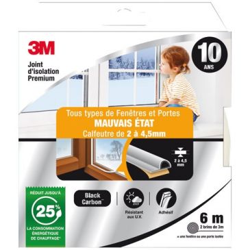 Joint d'isolation - porte et fenêtre - mauvais état - 2 à 4.5 mm - 6 m - bl