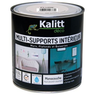 Peinture multi-supports 0,5 L Acrylique Mat - Plume