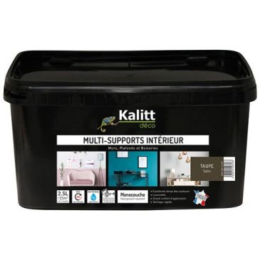 Peinture multi-supports 2,5 L Acrylique Satin - Taupe