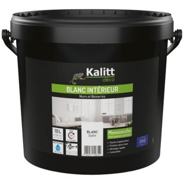 Peinture murs et plafonds monocouche satin 10 L blanc