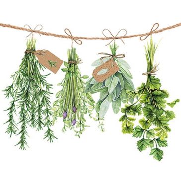 Lot 20 serviettes en papier 33 x 33 cm - Herbes Aromatiques