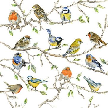 Lot 20 serviettes en papier 33 x 33 cm - Réunion d'Oiseaux