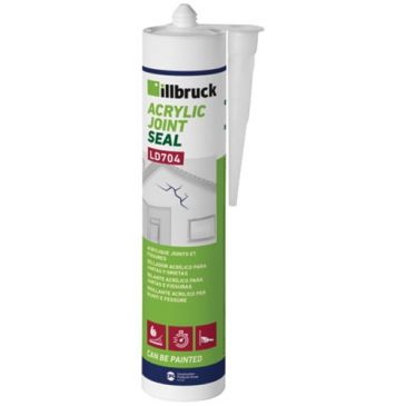 Mastic acrylique - joints et fissures - 310 mL - gris 
