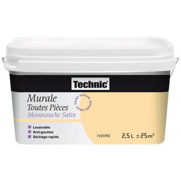 Peinture murale Toutes pièces 2,5 L Monocouche Satin - Taupe