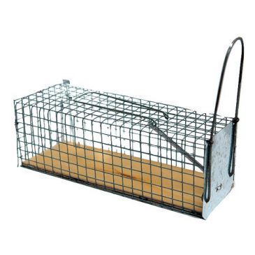 Nasse à rats 1 entrée socle en bois