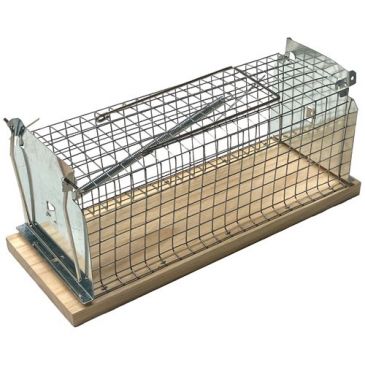 Nasse à rats socle en bois fsc / nc