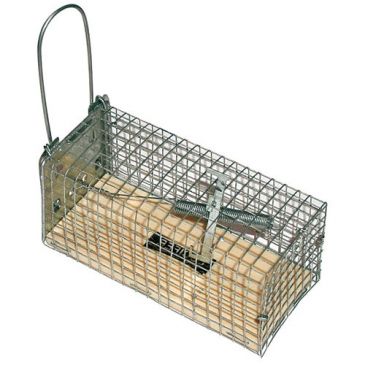 Nasse à souris 1 entrée socle en bois