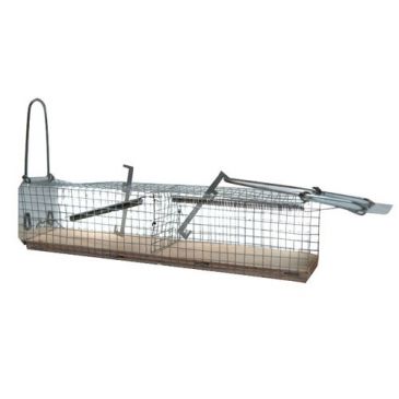 Nasse à souris 2e socle bois 113