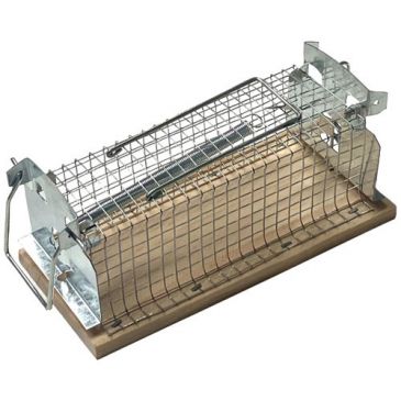 Nasse à souris socle en bois fsc / nc