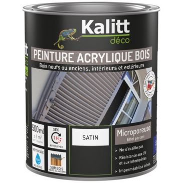 Peinture microporeuse 500 ml Extérieur Bois Satin - Noir