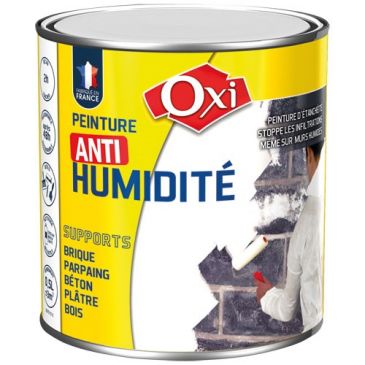 Peinture anti humidité 500 ml 