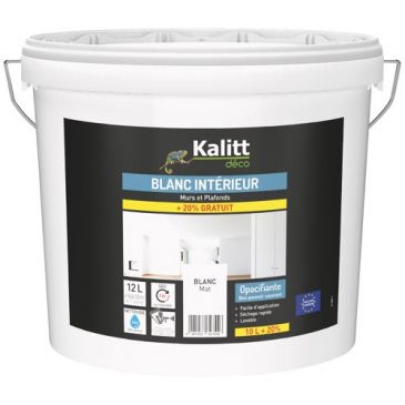 Peinture murs et plafonds bicouche mat 10 + 2 L blanc