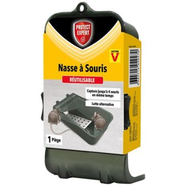 Piège nasse 4 souris
