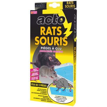 Pièges à glu rats souris aromatisés noisette