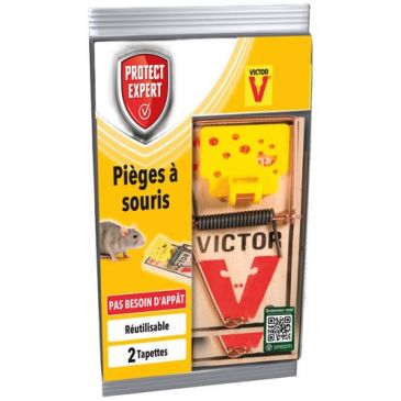 Pièges à souris 2 tapettes bois fsc / nc