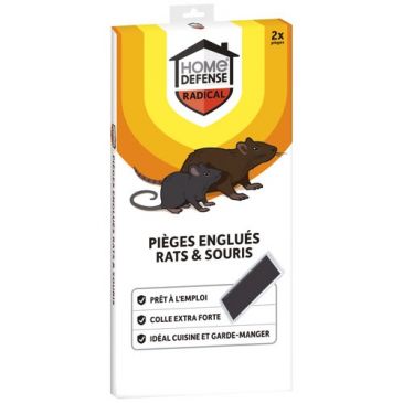 Piège rats et souris englué x 2