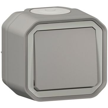 Interrupteur ou va-et-vient 10 A Plexo complet saillie gris