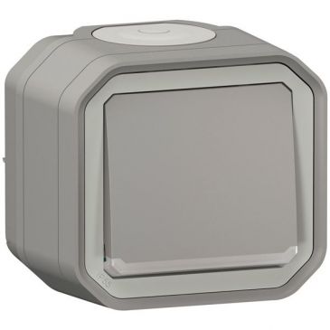 Interrupteur ou va-et-vient lumineux 10 A - Plexo - complet saillie - gris