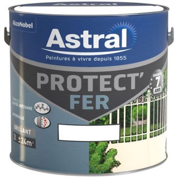Peinture 2 L Protect Fer - Base White Brillante