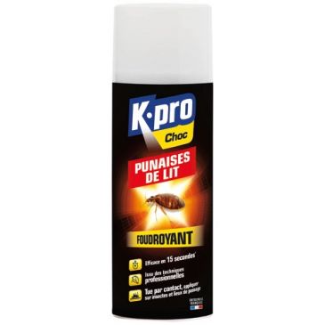 Bombe foudroyant - punaises de lit - 400 mL