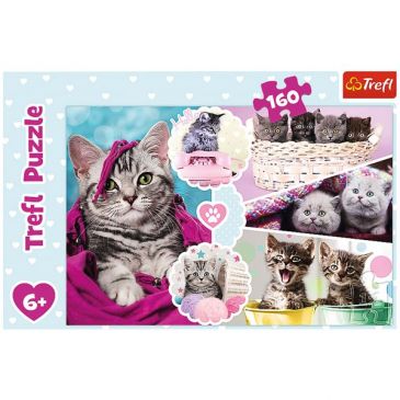 Puzzle 160 pièces adorables chatons 6ans+