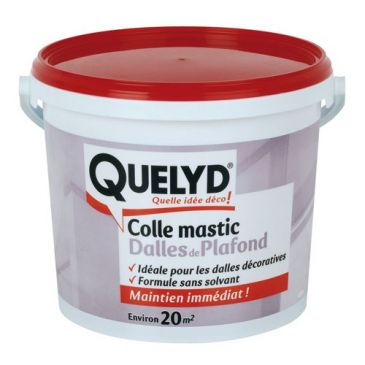Quelyd colle dalle plafond 7kg