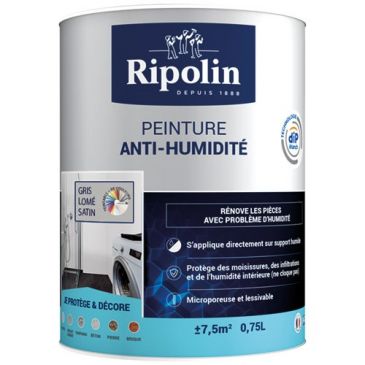 Peinture anti-humidité 0,75 L Satin - Gris Lomé
