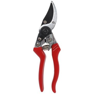 Secateur gaucher forge 21cm