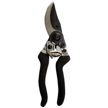 Sécateur professionnel forgé 23 cm