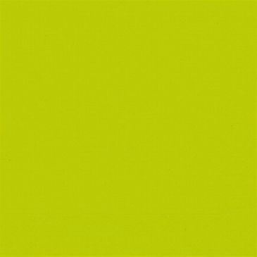 Lot 20 serviettes 33 x 33 cm Kiwi