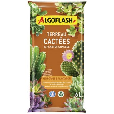 Terreau cactées et plantes grasses - 6 L