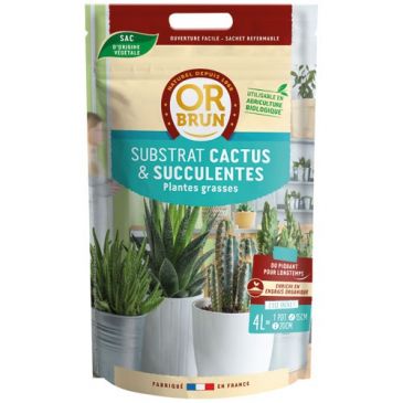 Terreau substrat cactus et plantes grasses 4l