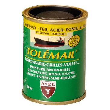 Peinture spécial ferronnerie 100 ml Tolémail - Noir