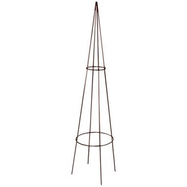 Tuteur-tipi classique 20 x 100 cm fer vieilli