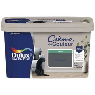 Peinture 2.5 L Crème de Couleur Satin - Anthracite