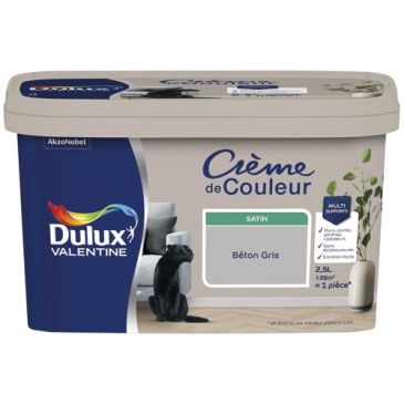Peinture 2.5 L Crème de Couleur Satin - Béton Gris